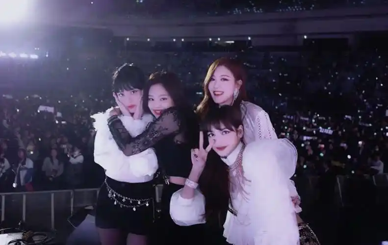 堆糖,美图壁纸兴趣社区