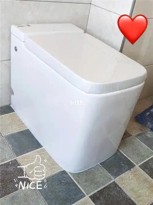 soos马桶房屋大改造pick