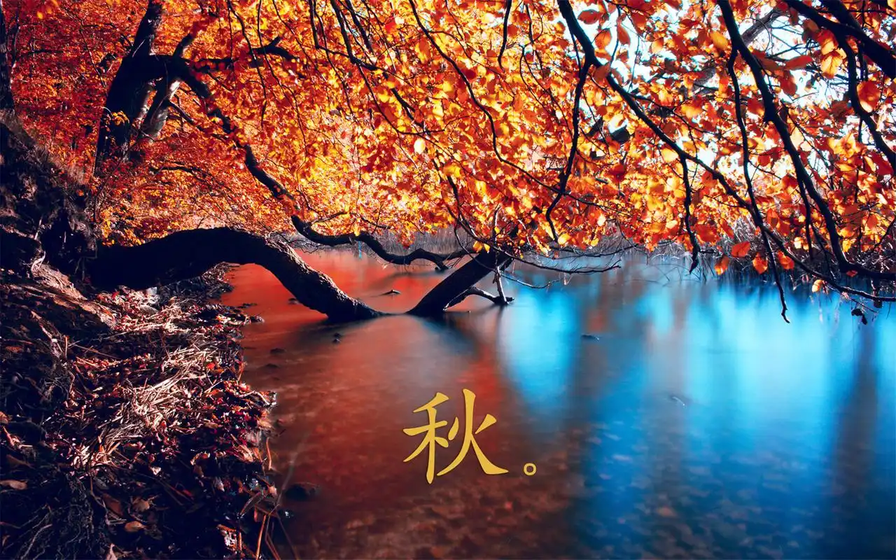 精美设计的秋高气爽唯美诗意高清图片桌面壁纸