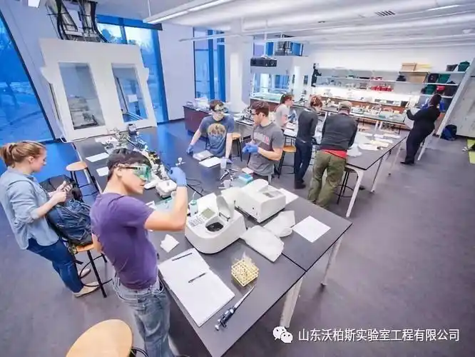 实验室赏析美国瓦萨学院实验科学桥vbls