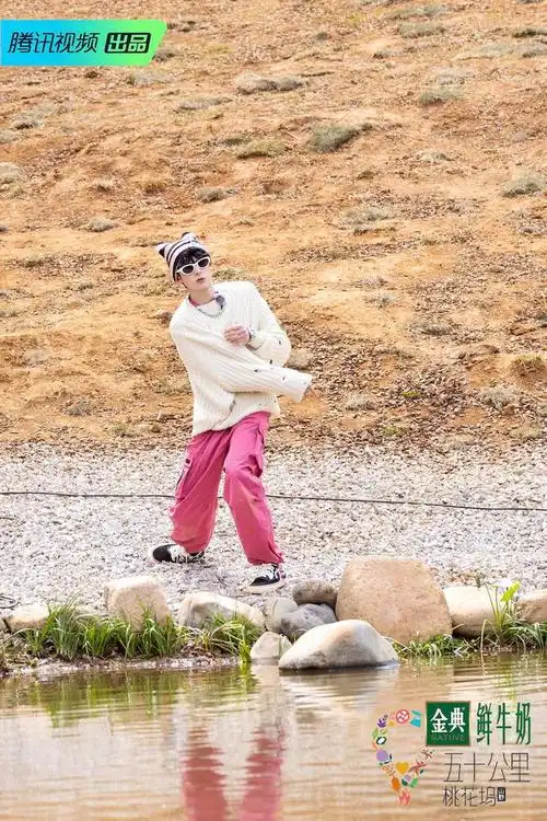 五十公里桃花坞3业态繁忙王鹤棣汪苏泷互换家庭引落泪