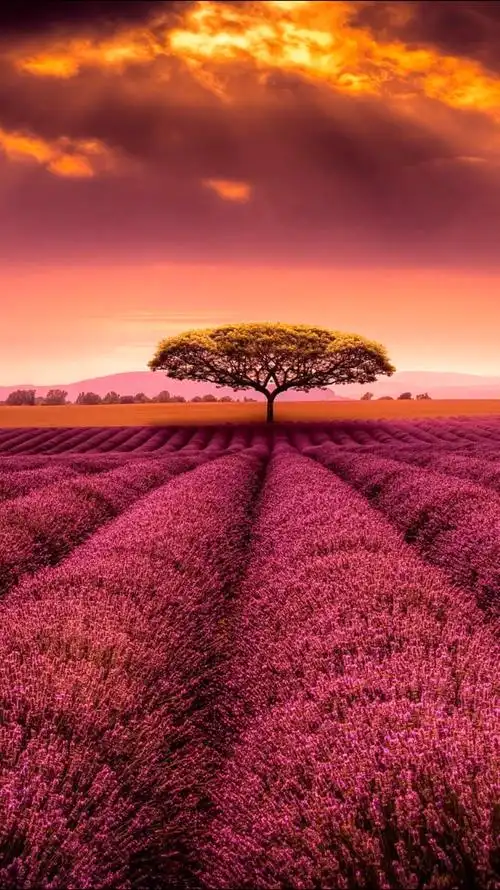 1200_2135竖版 竖屏