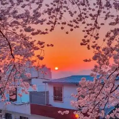 十一月治愈系又好看的风景头像