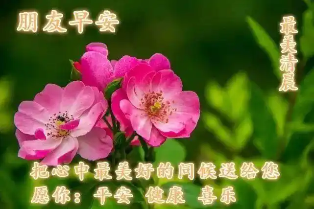 2021牛年全新的早上好表情动画图片早上好图片动图