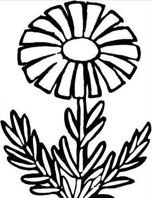 花简笔画简单漂亮 花简笔画简单漂亮彩色