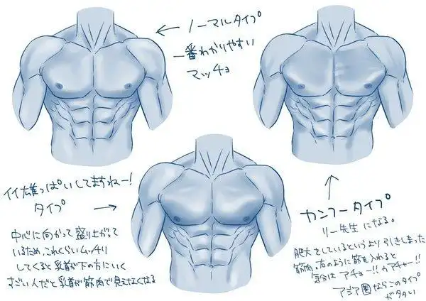 男人的胸肌和女人的乳房有区别吗?