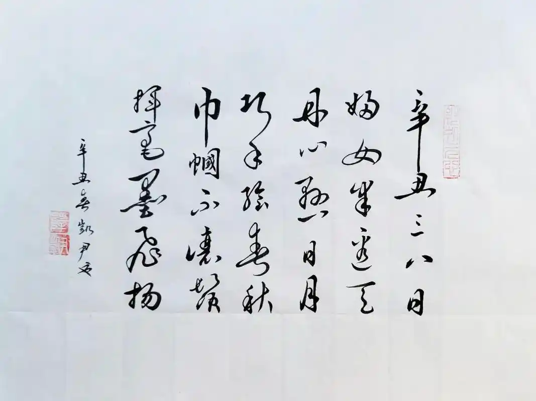 巾帼心向党奋进正当时征稿书法锲而不舍铿锵玫瑰