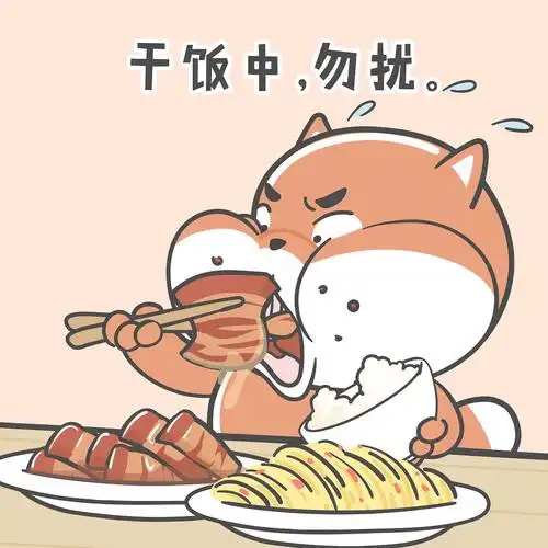 小狮子赛几干饭人表情包