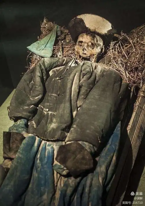 香港僵尸片♀复活