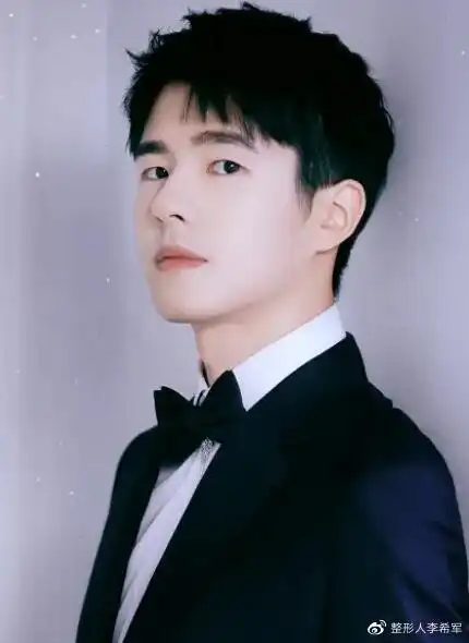 刘昊然的鼻子山根鼻梁高挺立体,鼻头圆润鼻翼略窄,正面看是精致小巧又