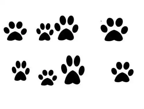 动物的脚印怎么画简笔画