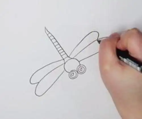 蜻蜓简笔画儿童画步骤图教程昆虫蜻蜓简笔画