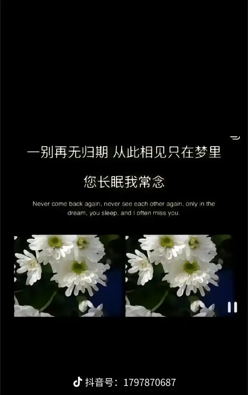一别在无期,相见只有梦中,你长眠,我长念,愿天堂没有病魔,愿 - 抖音