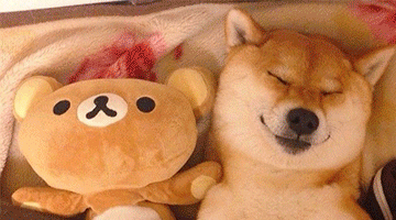 … 它们都是繁重工作生活之余 始终陪伴,最能治愈你心灵的萌物