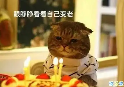 祝自己生日快乐的话搞笑图片 发朋友圈表达自己生日搞笑个性说说2018