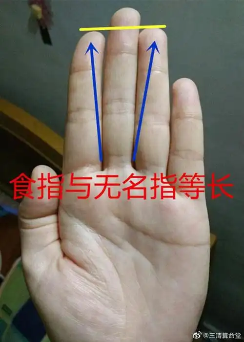 富贵在你手上,食指出现这种符号,财官均有!