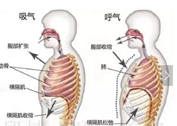 零基础学唱歌:初学者应该如何学习唱歌,声乐,演唱技巧!