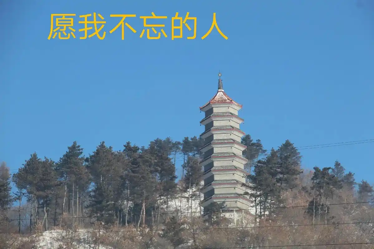 人生两条路,一条用心走,叫梦想.一条用脚步,叫现实.走走太快 - 抖音