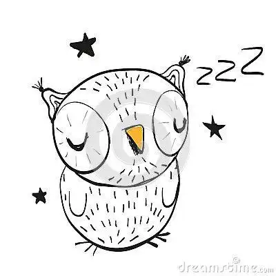 猫头鹰怎么睡觉的图片 简笔画