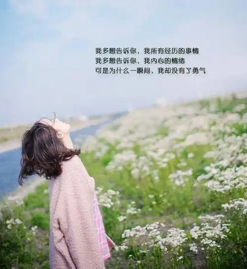 精选唯美伤感爱情文字图片大全赏析