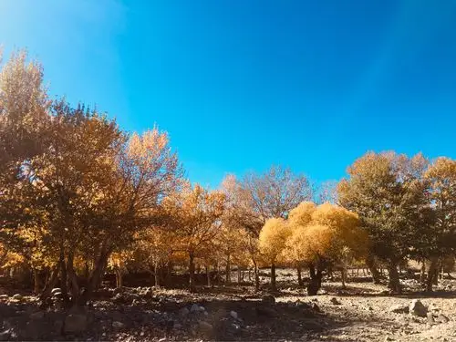 天山脚下的世外桃源白杨河