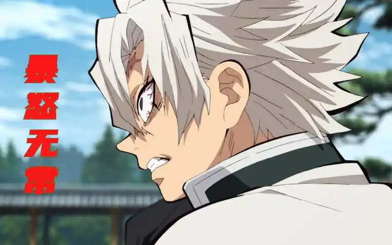 鬼灭之刃 风柱不死川实弥眼中的柱们_哔哩哔哩_bilibili