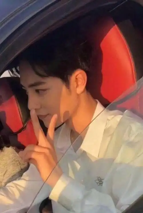 告白日和战战更配哦 肖战女友视角合集分享