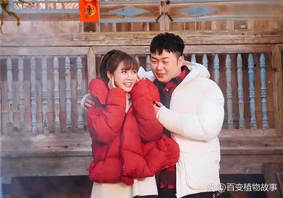 沈梦辰和杜海涛的婚姻之谜 沈梦辰和杜海涛的婚姻之谜,是一段崇高而