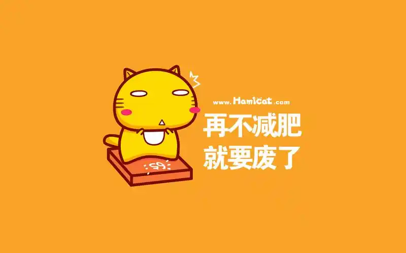 减肥电脑壁纸 - hamicat哈咪猫 - hamicat哈咪猫