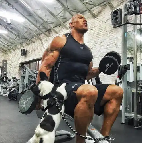 ▼有时候他的狗狗也会参与进来,不过大部分时间是捣乱.