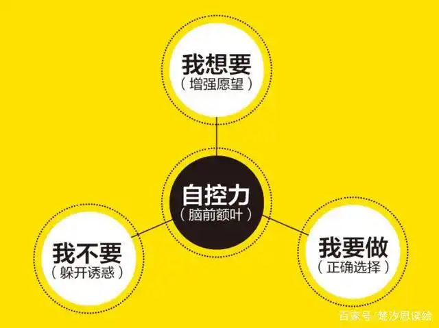 斯坦福教授凯利《自控力》:存量有限的意志力,如何抵制诱惑?