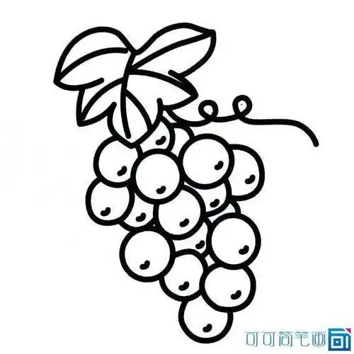 我想画水果简笔画最漂亮的