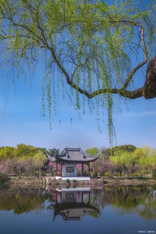 你一句春不晚,我便到了真江南,杭州西湖的春天有多美你知道吗?