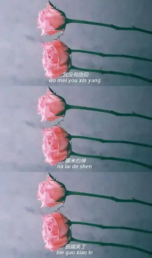 三格图 - 堆糖,美图壁纸兴趣社区