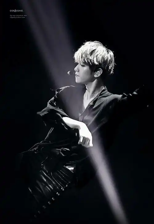 exo边伯贤高清壁纸