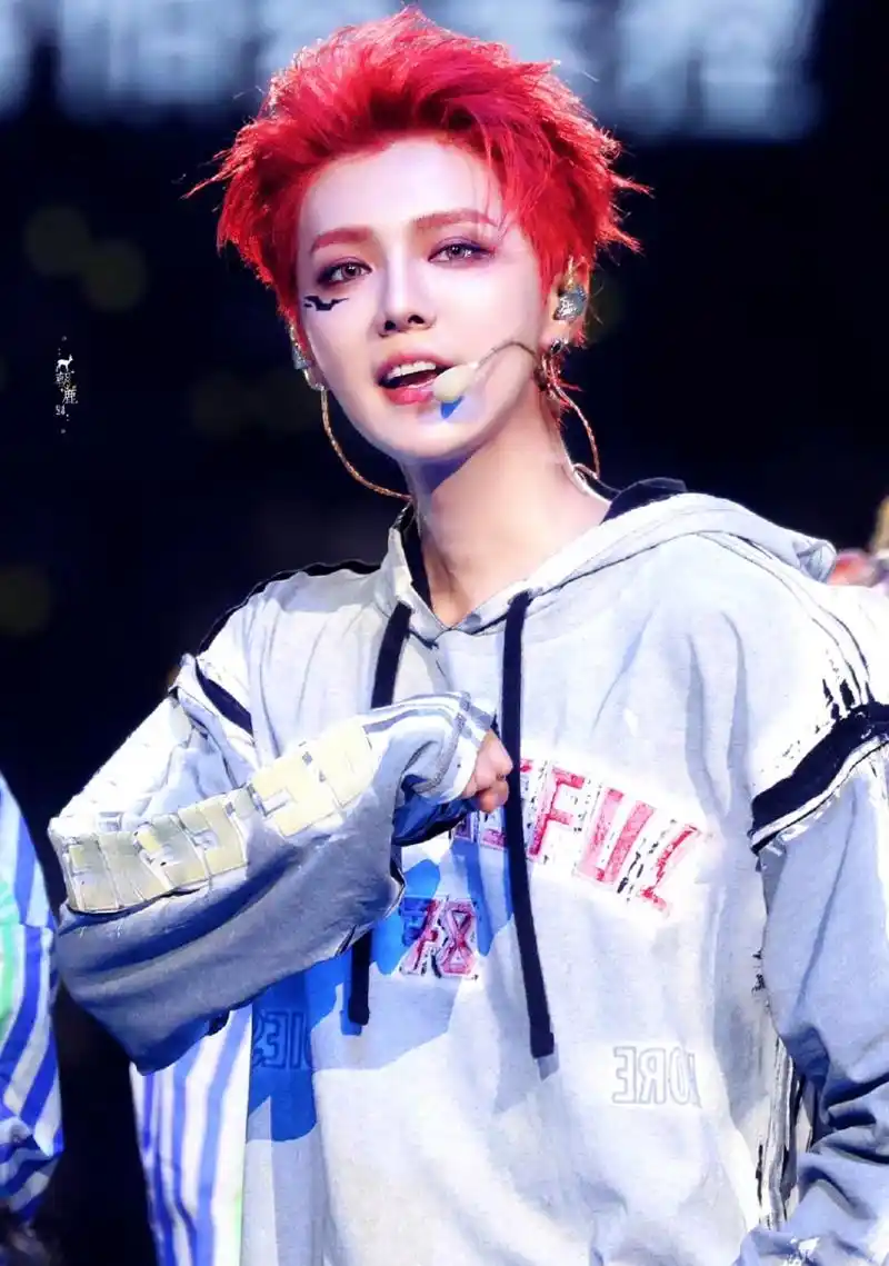 鹿晗演唱会红发00唉[大笑][大笑]