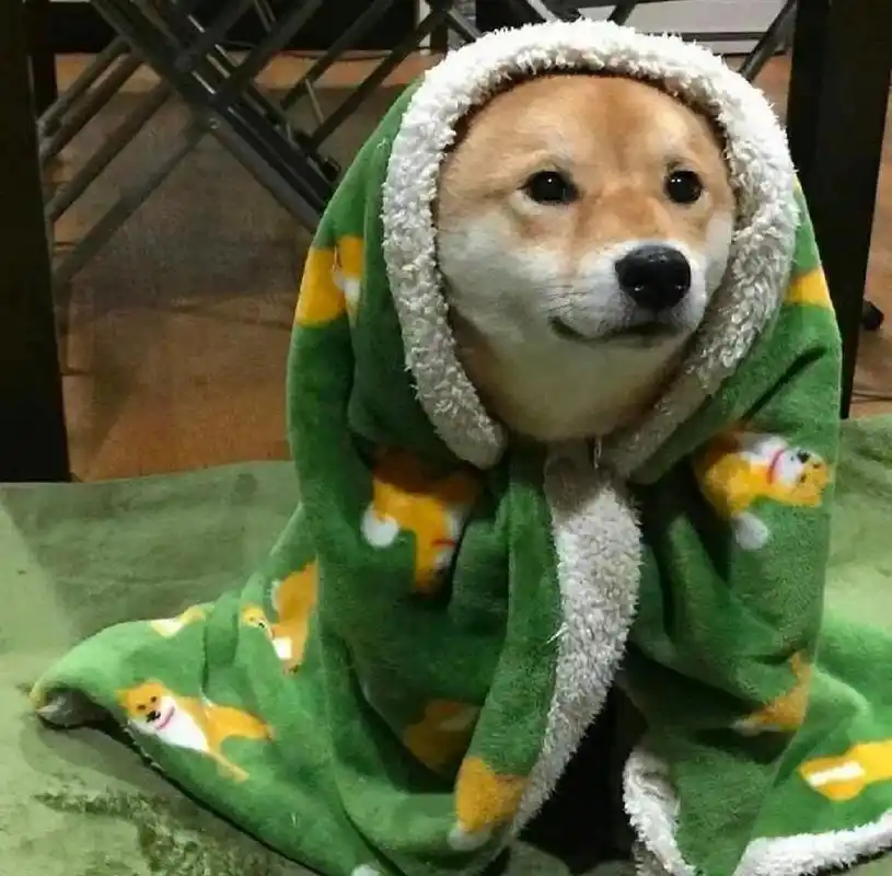 望火#搞笑的日常# #沙雕搞笑# #搞笑图片# #搞笑头像# #搞笑# #搞笑