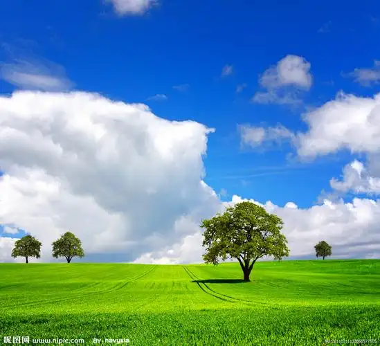 蓝天白云草地高清图片