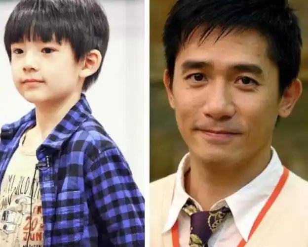 梁朝伟十年前曾与董洁秘恋儿子被曝是梁朝伟私生子董洁不回应