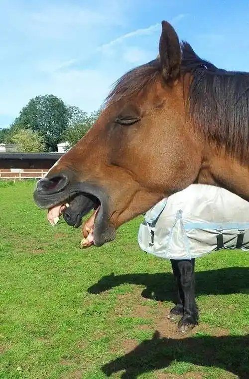 40张第一眼容易看错甚至有邪恶想法的照片