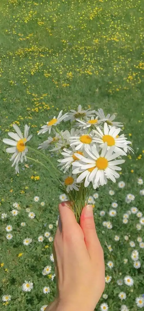 有什么小众又惊艳的微信状态背景图吗? - 知乎