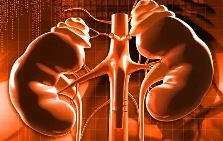 全国成份独家肾科必用产品——聚磺苯乙烯钠散(上海