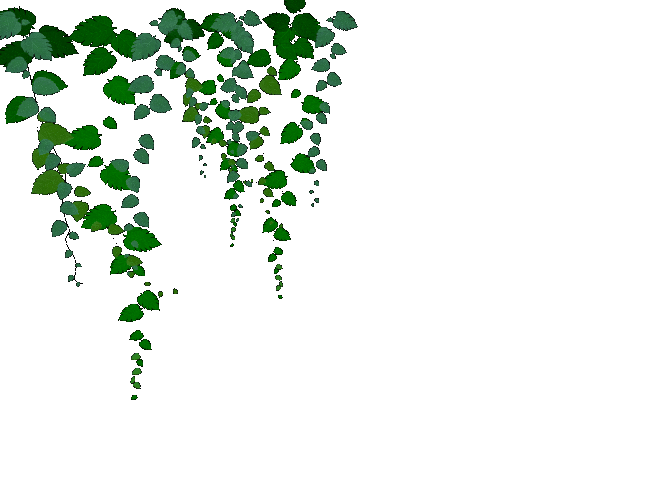 美图秀秀fs--教程fs--素材音画附件图片素材ps--教程制作教程本站是