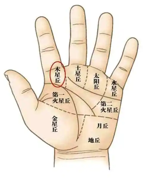 偏财运旺,这几种手相特征的人,易通过偏财运获得财富!你有吗?