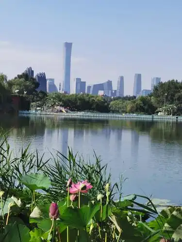 朝阳公园景色一览