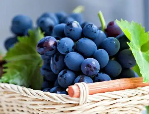 世界上有蓝色西瓜?还有蓝色的草莓,葡萄等,到底哪一个是真的?_数月亮