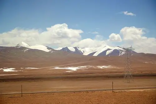 可可西里藏北无人区的生物资源