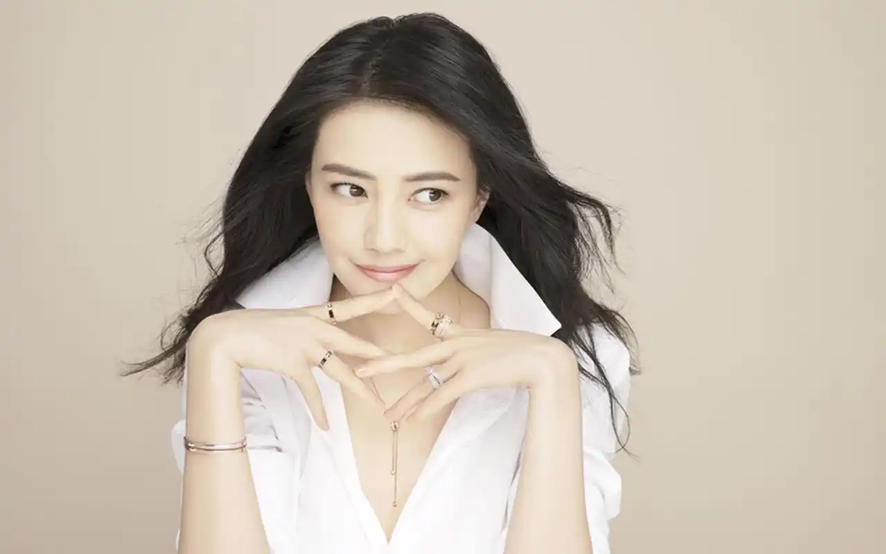 高圆圆优雅灵动时尚写真图片桌面壁纸高清大图预览1920x1200_大陆明星