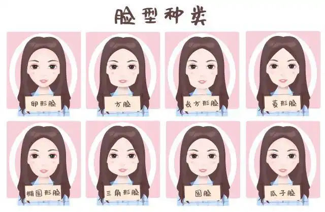 脸型,不同的分类方法进行分类,正看和侧看脸型也有区别