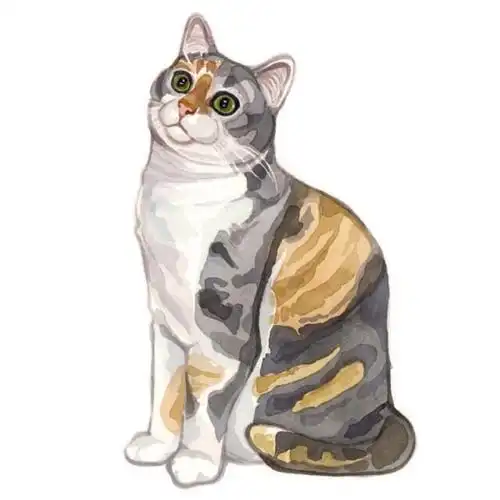 宠物_萌宠_可爱_动物_绘画_手绘_壁纸_插图_… - 堆糖,美图壁纸兴趣社